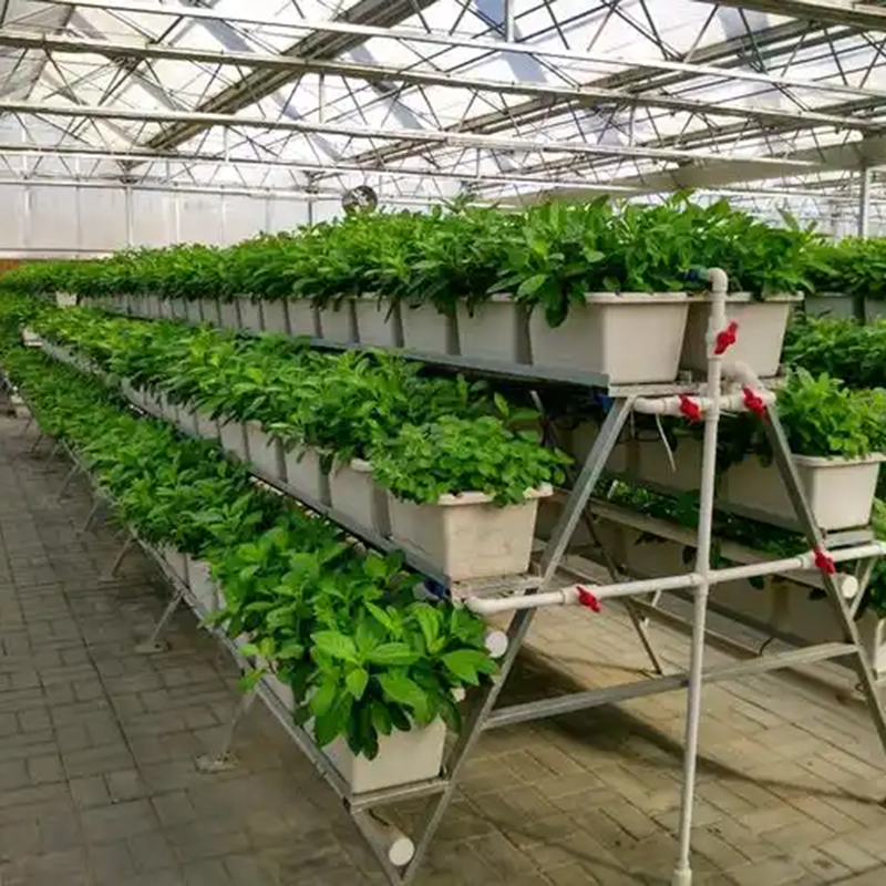 舟山市植物工厂玻璃温室 - 排名