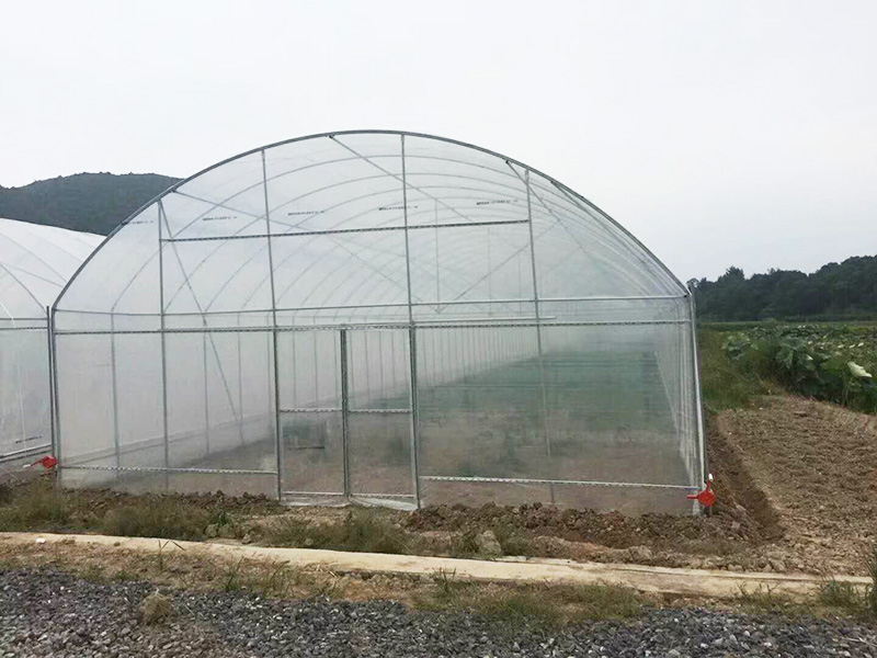 舟山市薄膜大棚大田灌溉 - 厂家